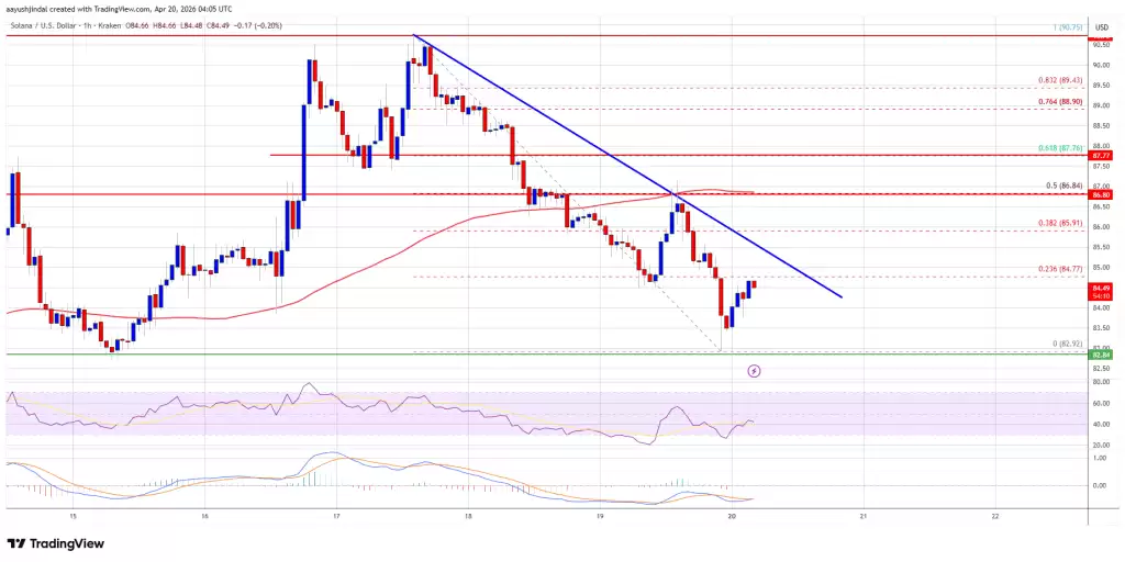 Solana (SOL) 价格走势小时图技术分析