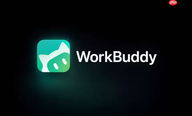安装 workbuddy 提示 “无法验证开发者”