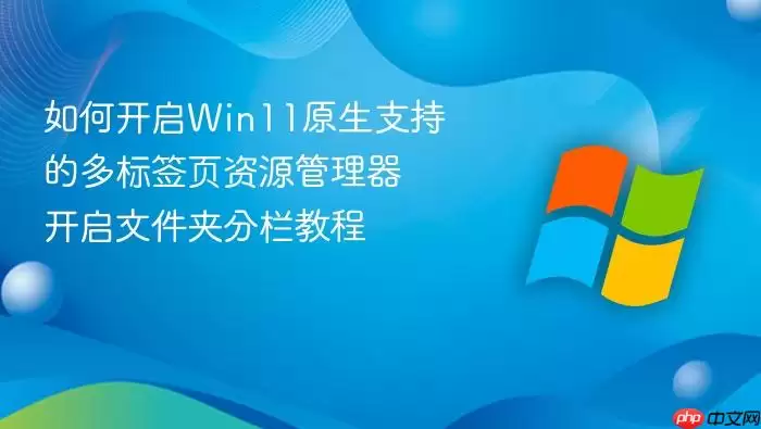 如何开启win11原生支持的多标签页资源管理器 开启文件夹分栏教程