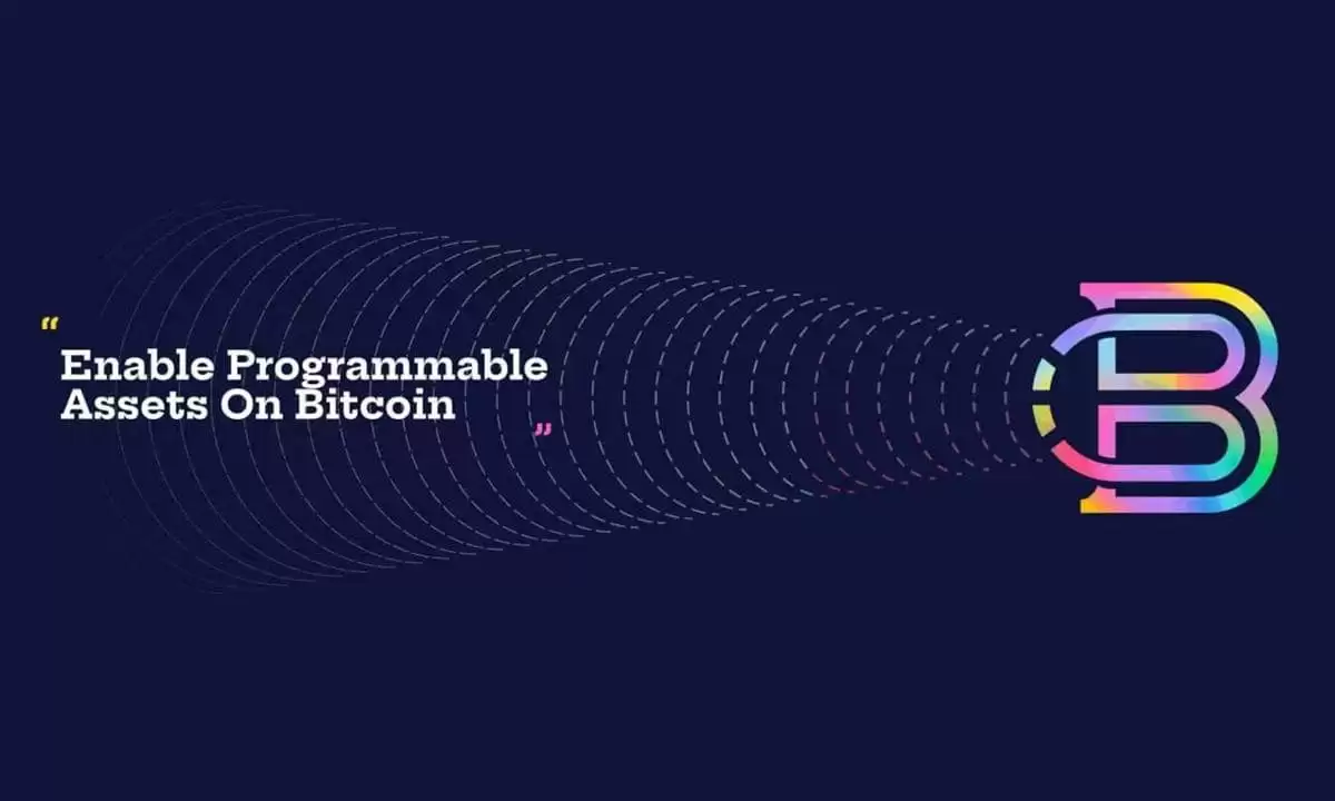 派币总量有几个亿