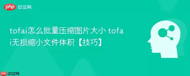 tofai怎么批量压缩图片大小 tofai无损缩小文件体积【技巧】