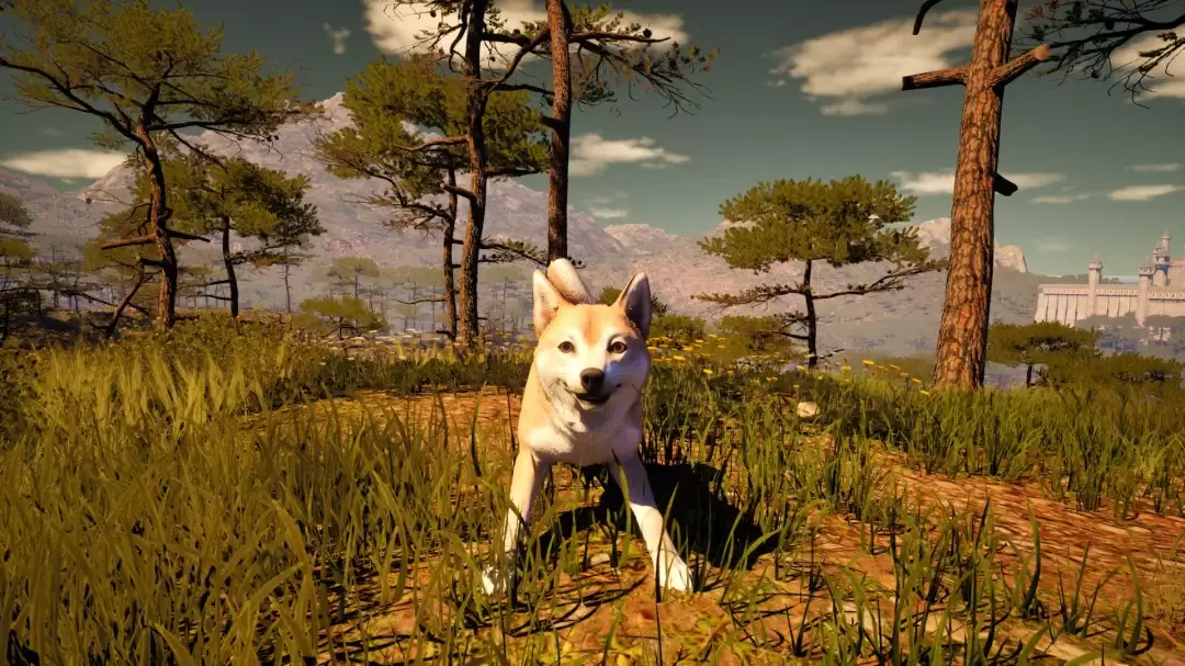 来中世纪放羊吧 《中世纪牧羊人》上架Steam平台