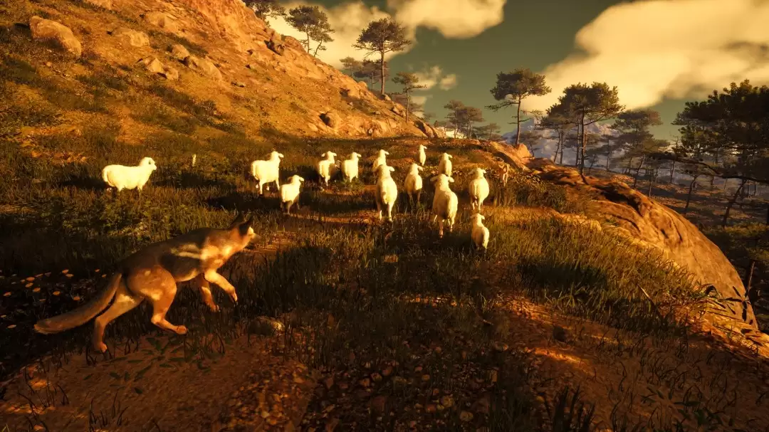 来中世纪放羊吧 《中世纪牧羊人》上架Steam平台