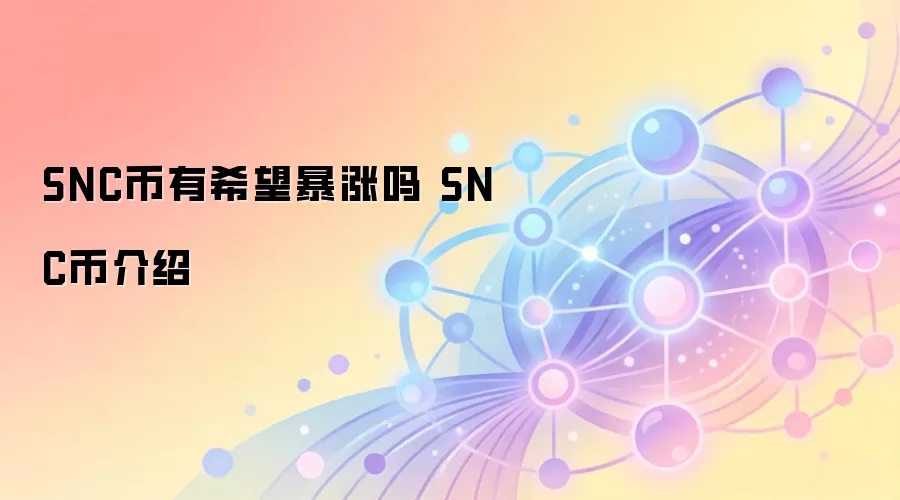 SNC币有希望暴涨吗 SNC币介绍