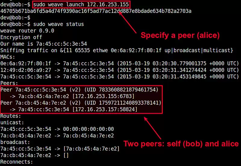 在Docker的容器之间设置网络设置网络通信的方法