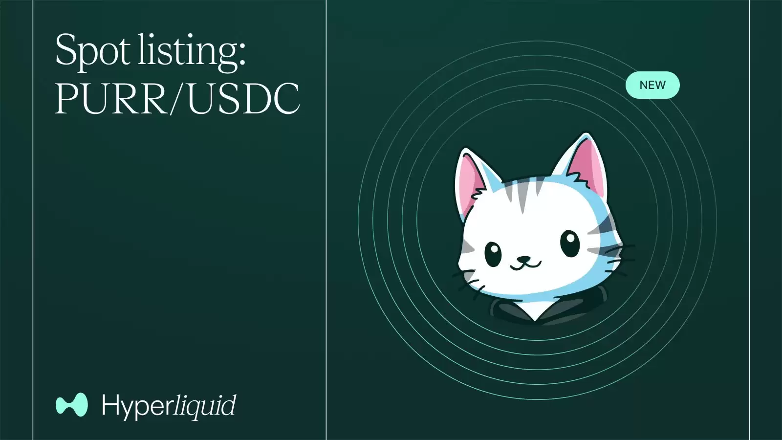 usdt价格为什么下降