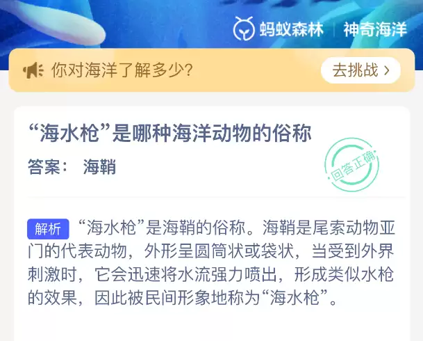 海水枪是哪种海洋动物的俗称