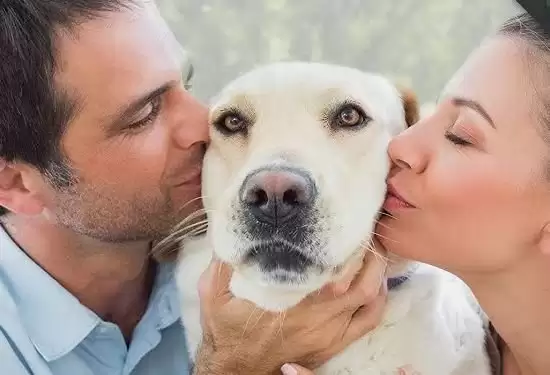 AWE2026 最大反差萌：一只猫代言的清洁家电品牌友望有点意思