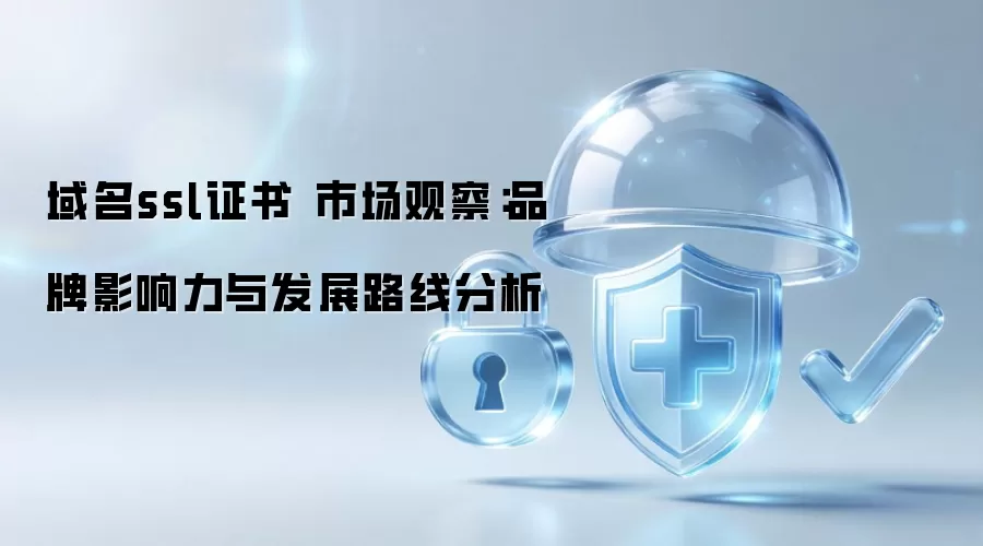 域名ssl证书 市场观察：品牌影响力与发展路线分析