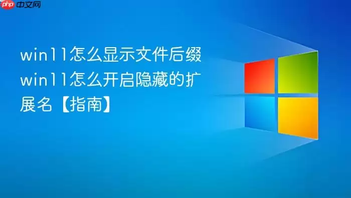win11怎么显示文件后缀 win11怎么开启隐藏的扩展名【指南】
