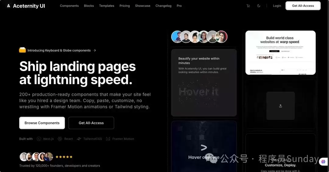 Aceternity UI 官网截图
