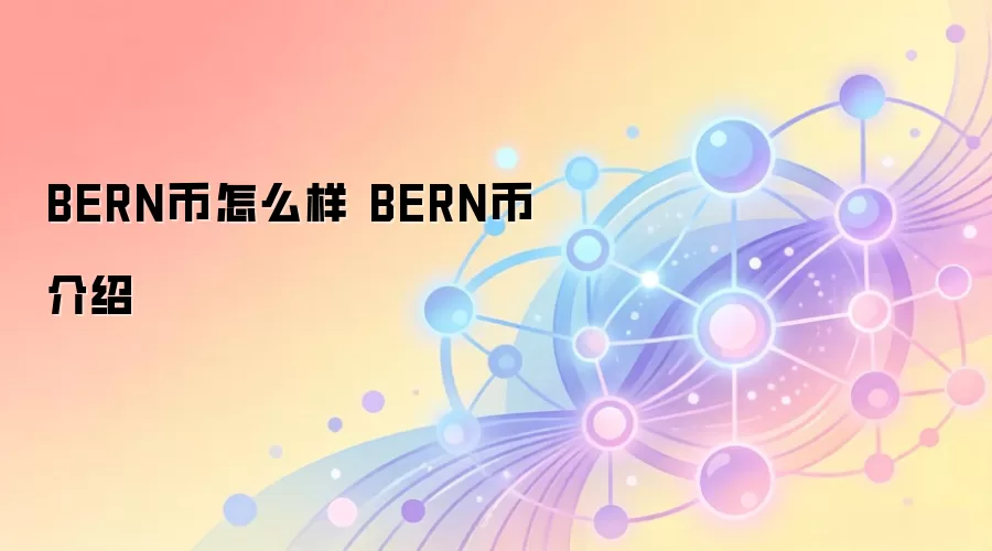 BERN币怎么样 BERN币介绍