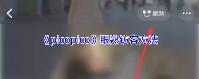 《picopico》眼熟访客方法