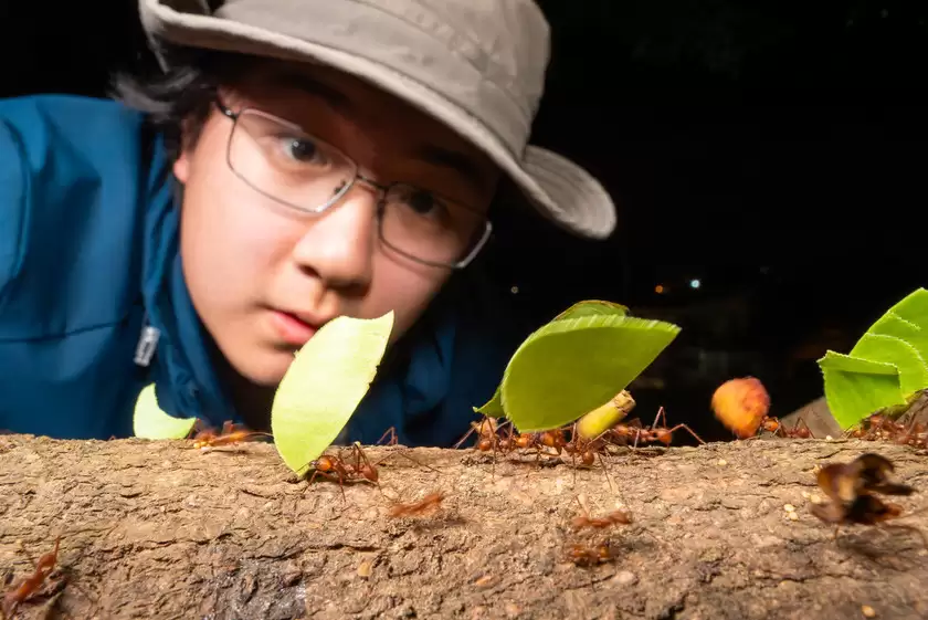 Zuiko 90mm F3.5 Macro快速体验：惊喜十足！