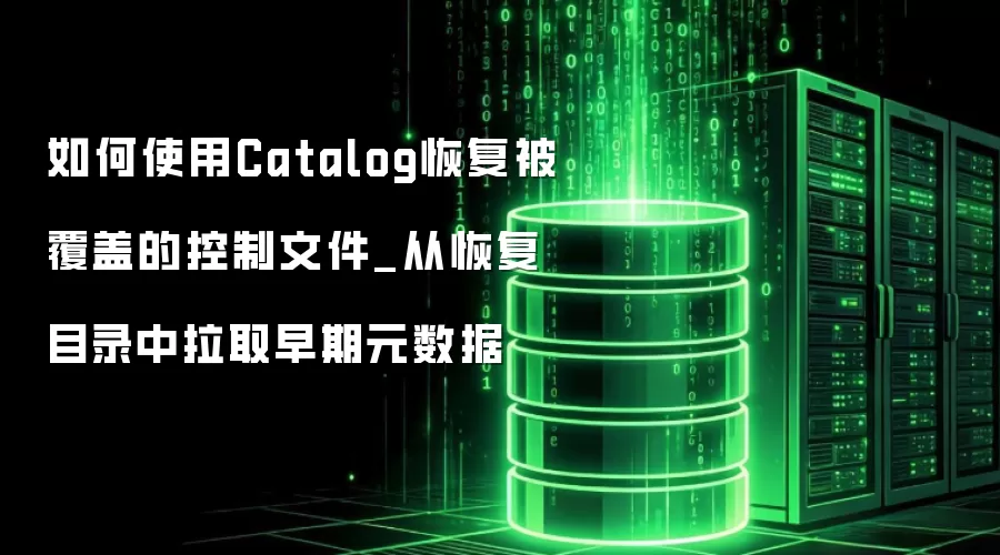 如何使用Catalog恢复被覆盖的控制文件_从恢复目录中拉取早期元数据