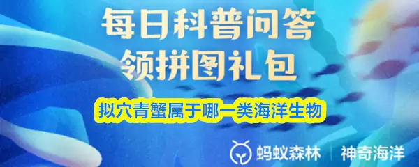 拟xue青蟹属于哪一类海洋生物