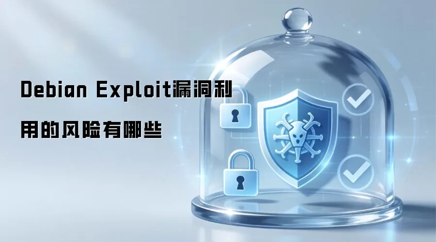 Debian Exploit漏洞利用的风险有哪些