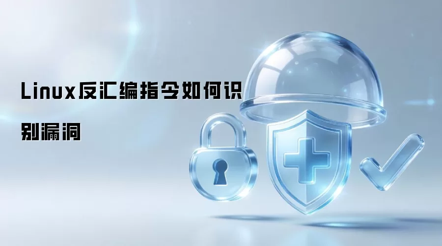 Linux反汇编指令如何识别漏洞