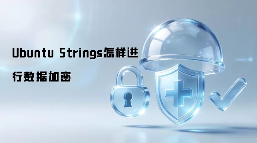 Ubuntu Strings怎样进行数据加密