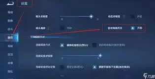 王者荣耀精准普攻怎么开