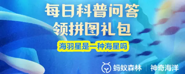 海羽星是一种海星吗