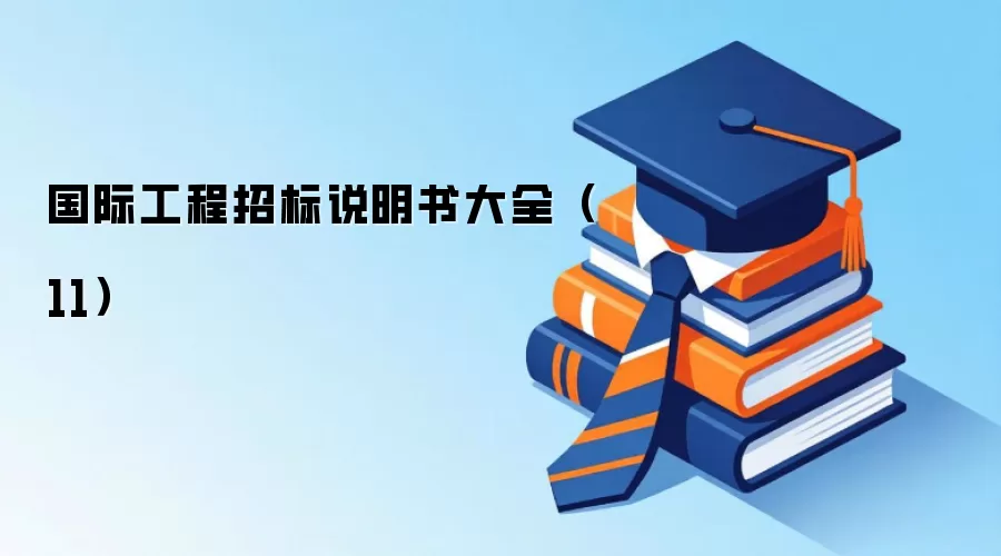 国际工程招标说明书大全（11）