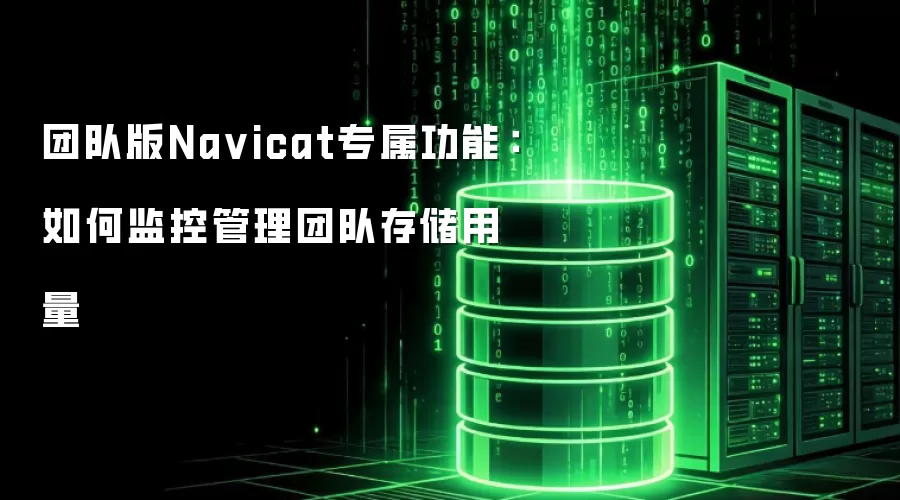 团队版Na vicat专属功能：如何监控管理团队存储用量