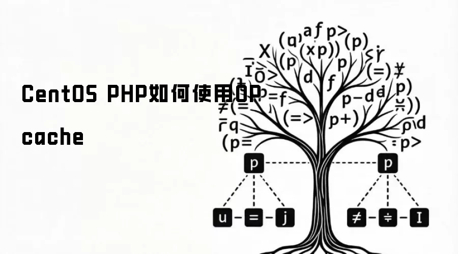 CentOS PHP如何使用OPcache