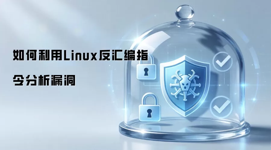 如何利用Linux反汇编指令分析漏洞