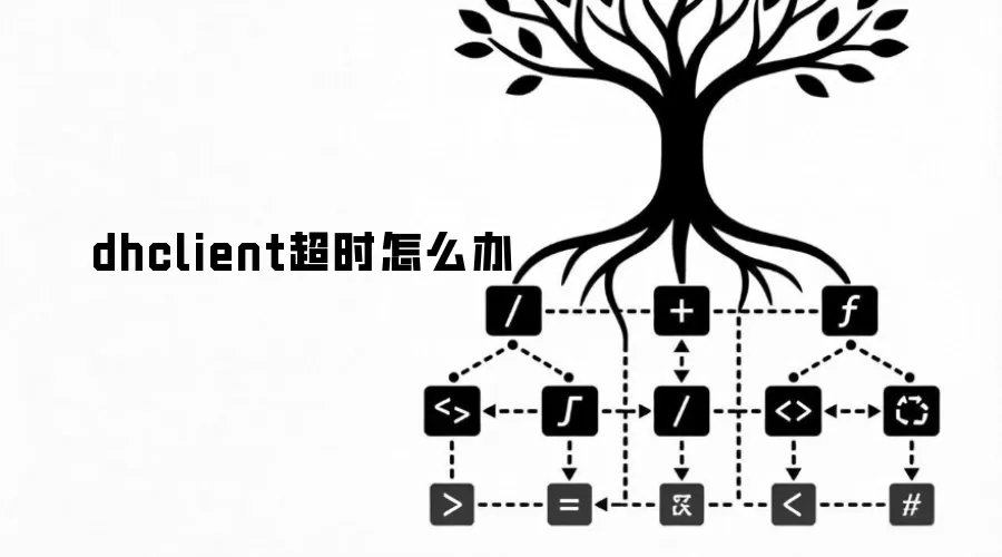 dhclient超时怎么办