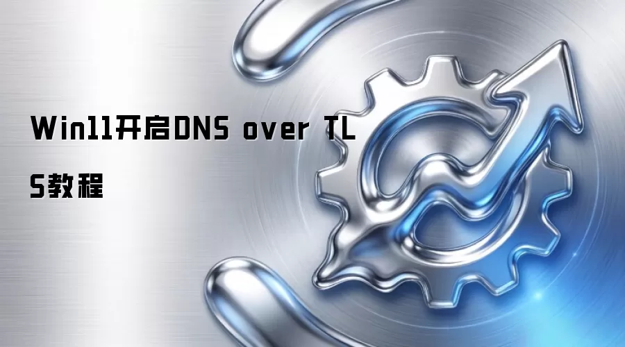 Win11开启DNS over TLS教程