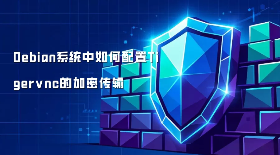 Debian系统中如何配置Tigervnc的加密传输