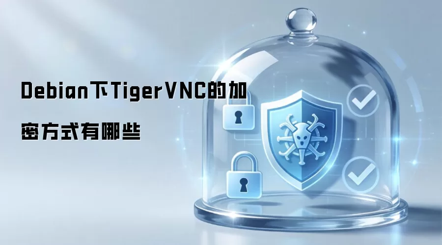 Debian下TigerVNC的加密方式有哪些