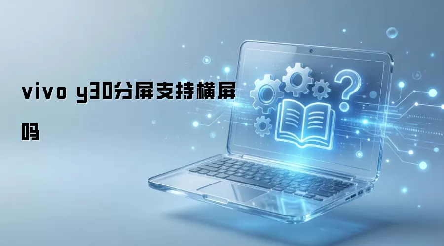 vivo y30分屏支持横屏吗