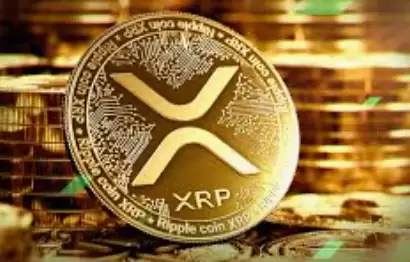 哪里可以关注瑞波币实时交易数据 瑞波币行情网站地址汇总 - php中文网