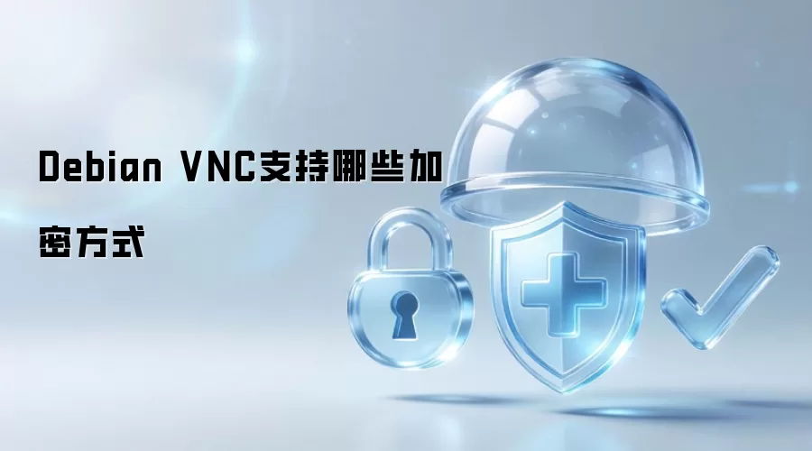 Debian VNC支持哪些加密方式