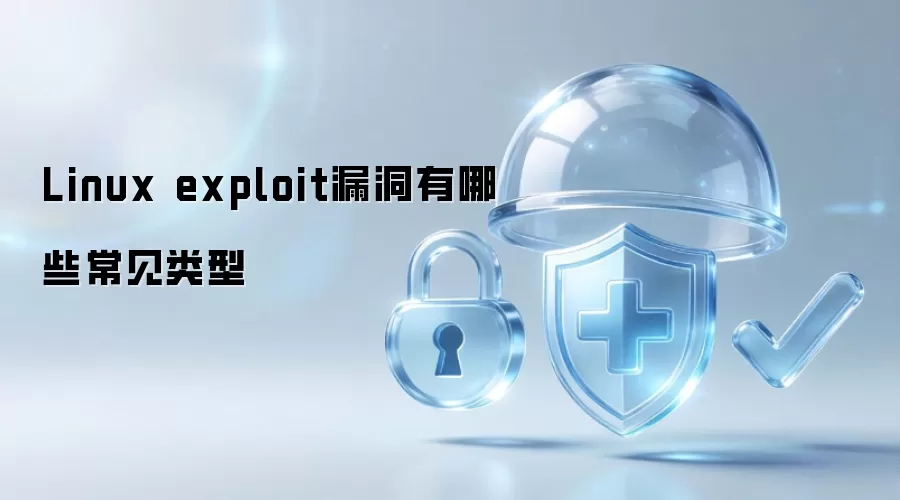 Linux exploit漏洞有哪些常见类型