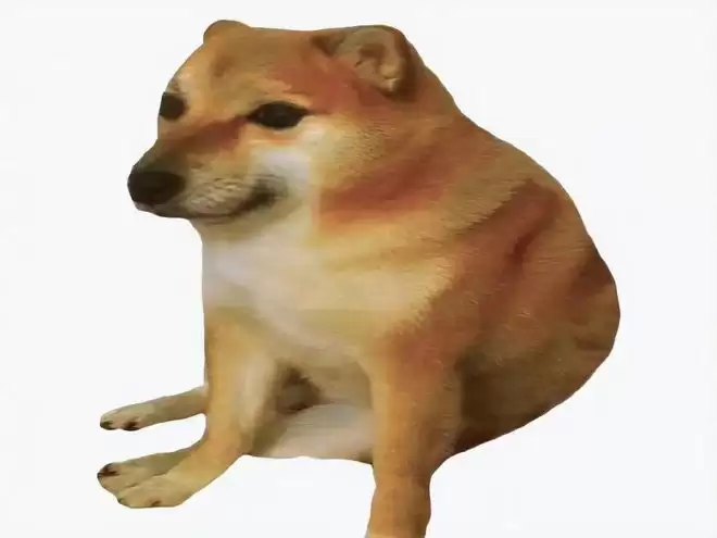 狗狗币8月能否达到0.3美元？多家权威机构预测 - php中文网