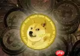 柴犬币和狗狗币哪个更具优势