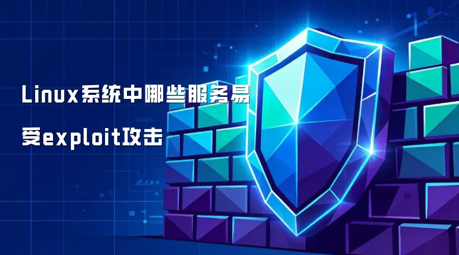 Linux系统中哪些服务易受exploit攻击