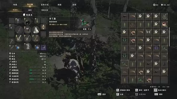 红色沙漠吉丁虫在哪