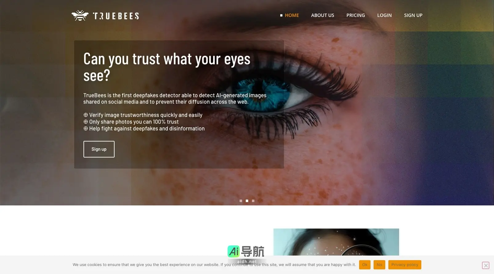 TrueBees 是首个深度伪造图像检测工具，帮助用户快速验证社交媒体上图像的真实性
