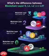 layer币是什么