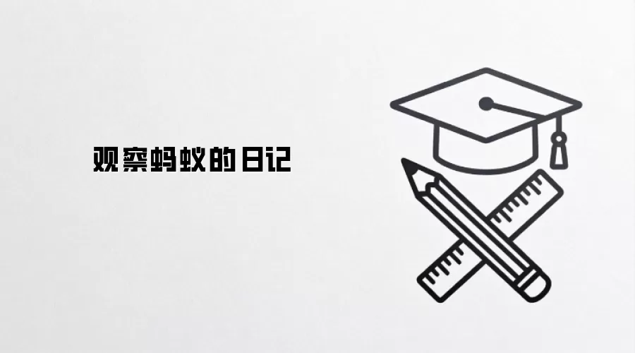 观察蚂蚁的日记