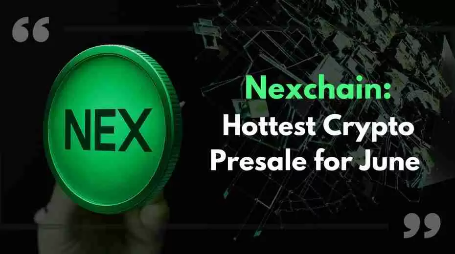 Solaxy、Nexchain 与加密货币预售市场：当下热门一览