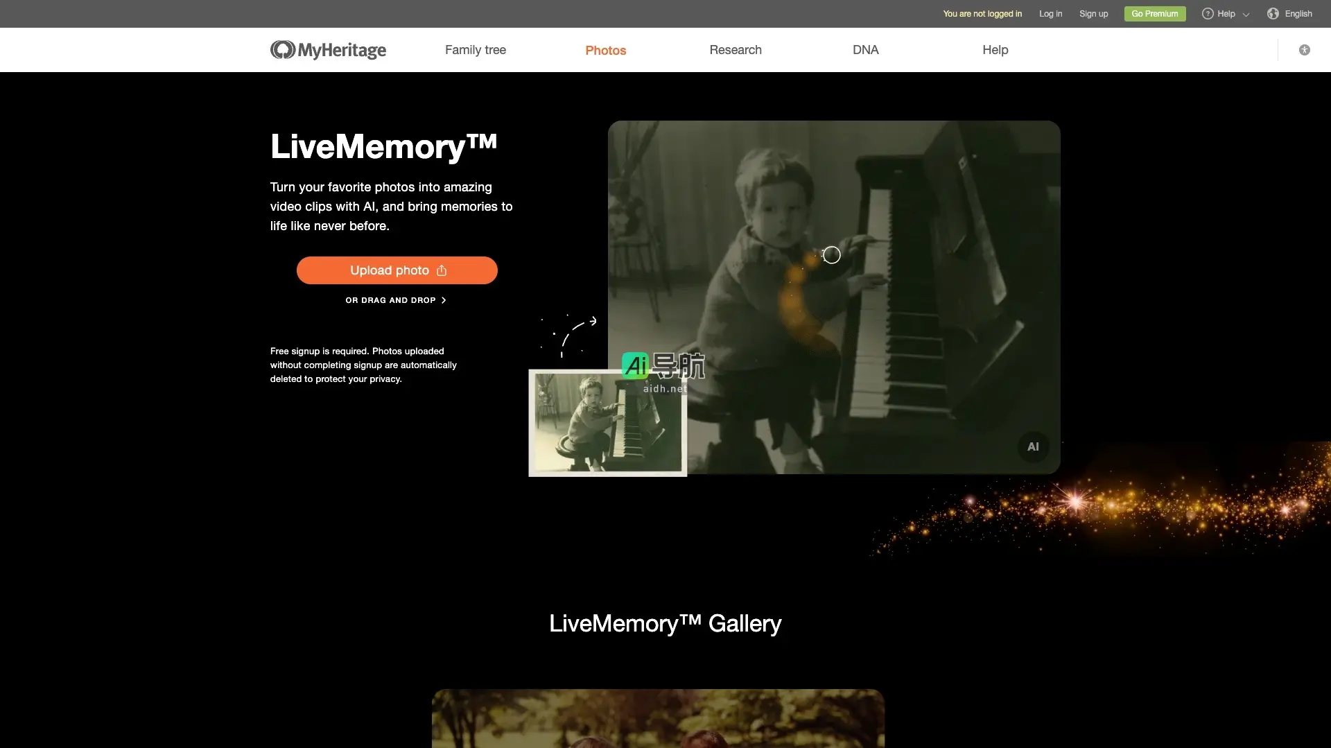 MyHeritage 是探索家族历史的全球领先平台，通过技术和DNA测试帮助用户发现独特的家族故事