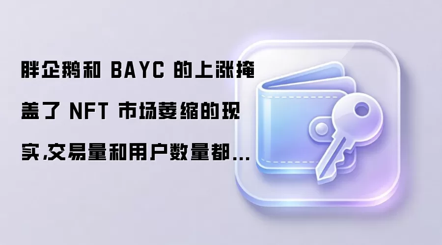 胖企鹅和 BAYC 的上涨掩盖了 NFT 市场萎缩的现实，交易量和用户数量都在下降。