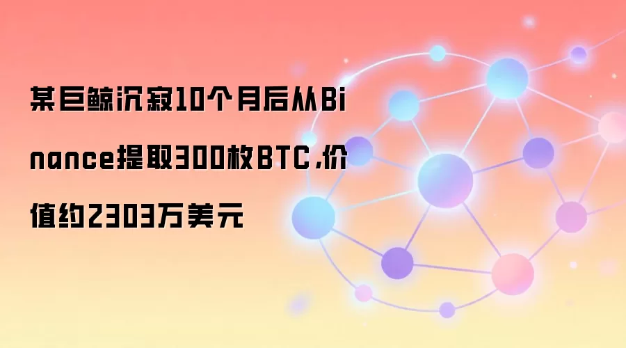 某巨鲸沉寂10个月后从Binance提取300枚BTC，价值约2303万美元