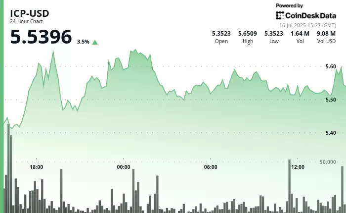 ICP、加密货币市场与AI热潮：究竟是怎么回事？