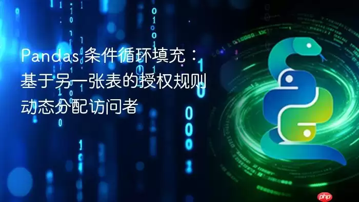 Pandas 条件循环填充：基于另一张表的授权规则动态分配访问者